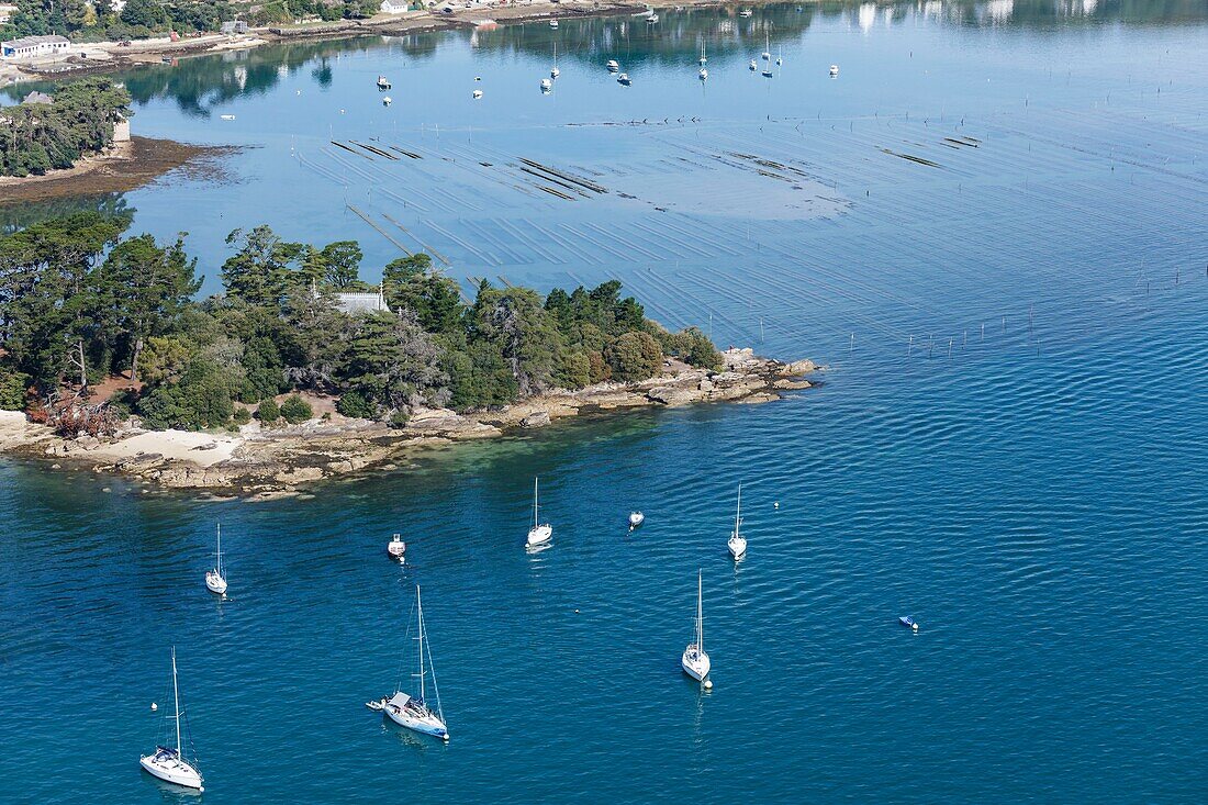 Frankreich, Morbihan, Golf von Morbihan, Insel Berder (Luftaufnahme)