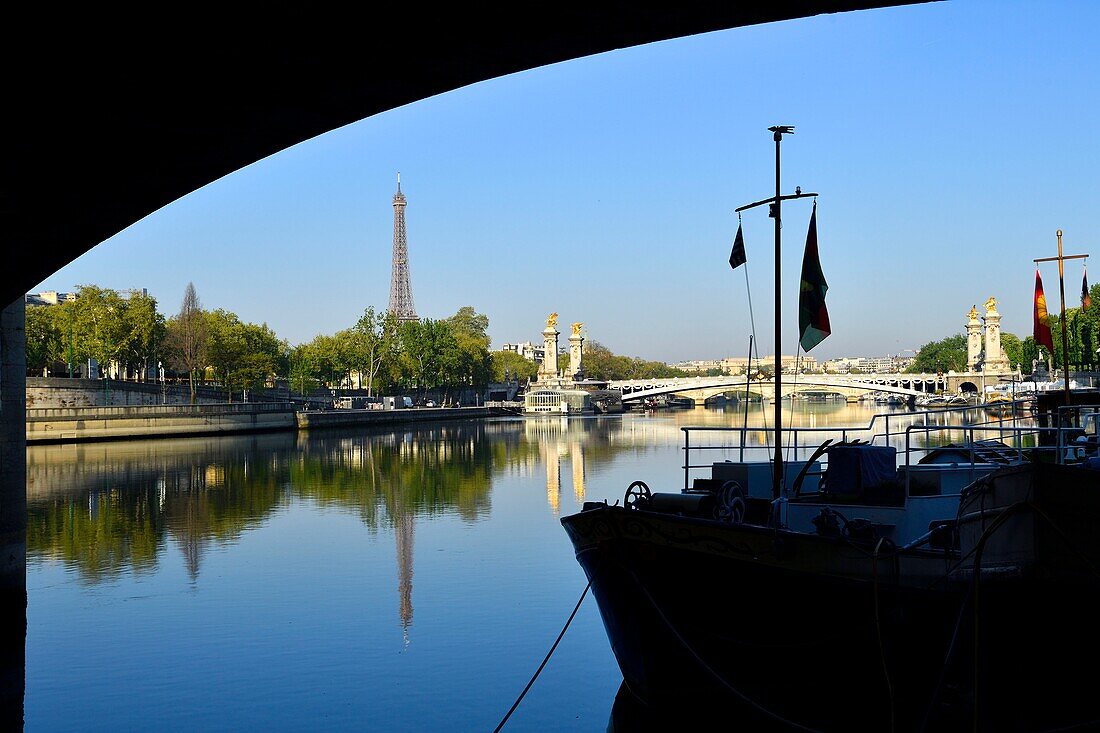 Frankreich, Paris, von der UNESCO zum Weltkulturerbe erklärtes Gebiet, im Hintergrund die Brücke Alexander III. und der Eiffelturm