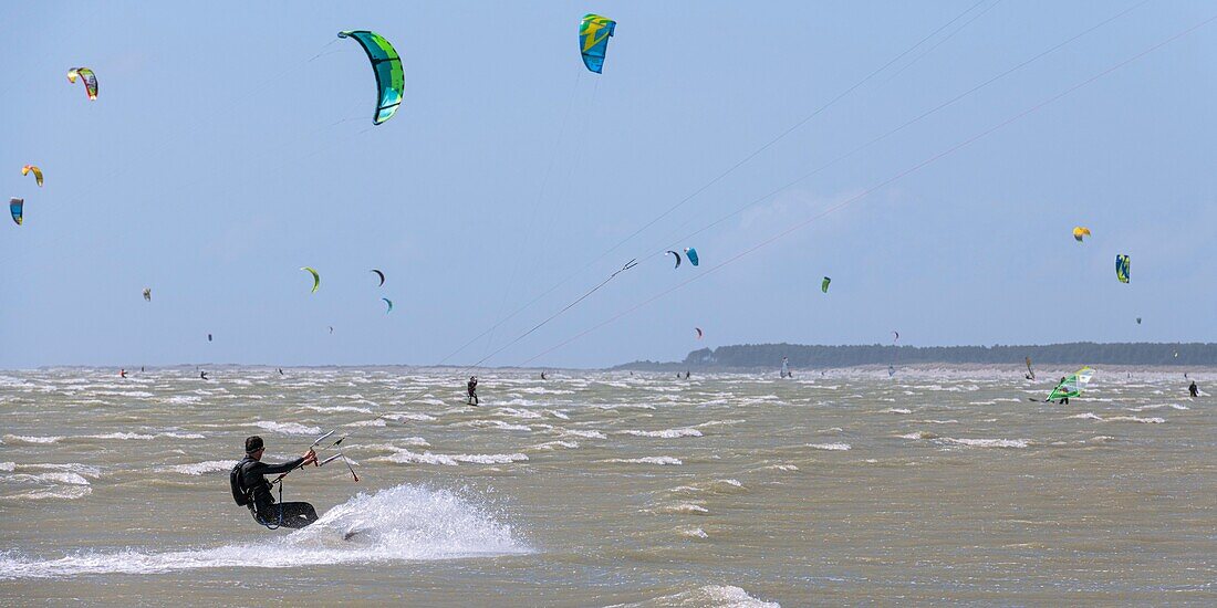 "Frankreich, Somme, Somme-Bucht, Le Crotoy, der Strand von Crotoy ist ein beliebtes Ziel für Kitesurfer und Windsurfer; nach einem Sturm, wenn die Sonne mit einem kräftigen Wind zurückkehrt, sind die Sportler zahlreich und ihre bunten Segel erhellen die Landschaft"