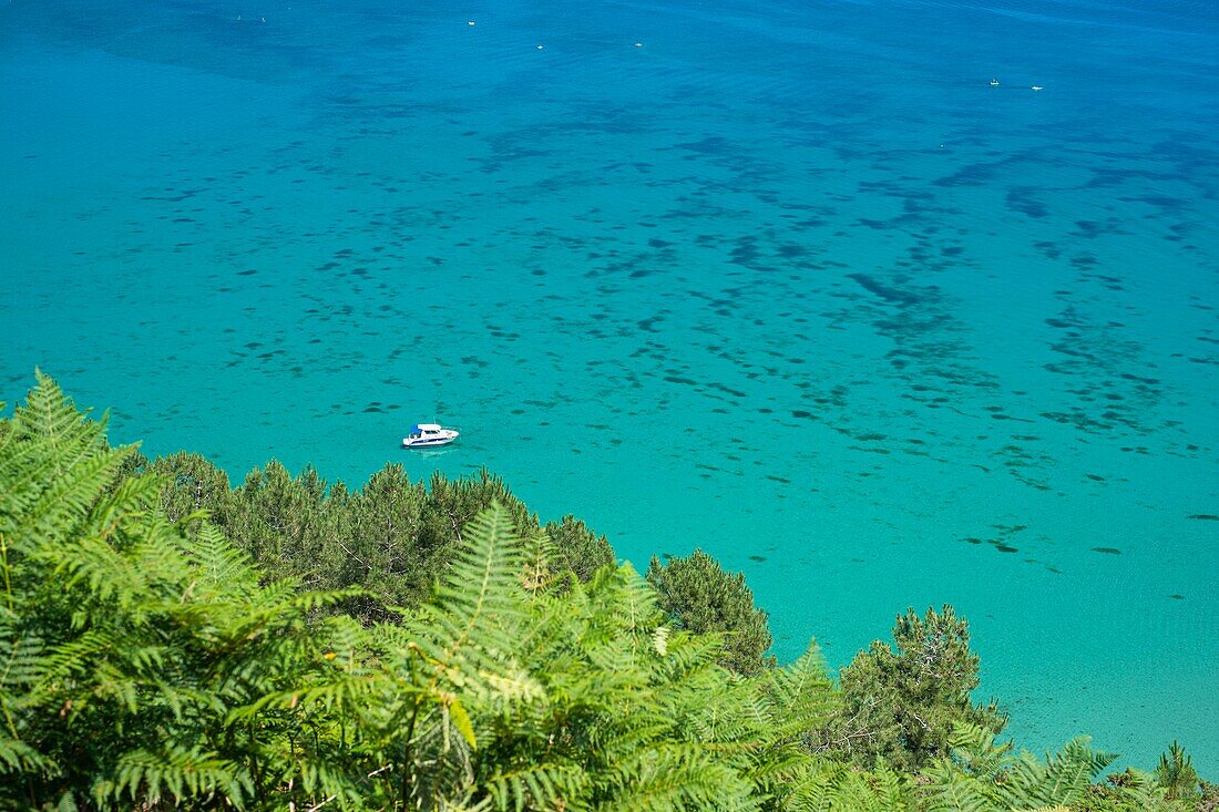 France, Finistere, Armorica Regional Natural Park, Crozon Peninsula, baie de Douarnenez Bay\n