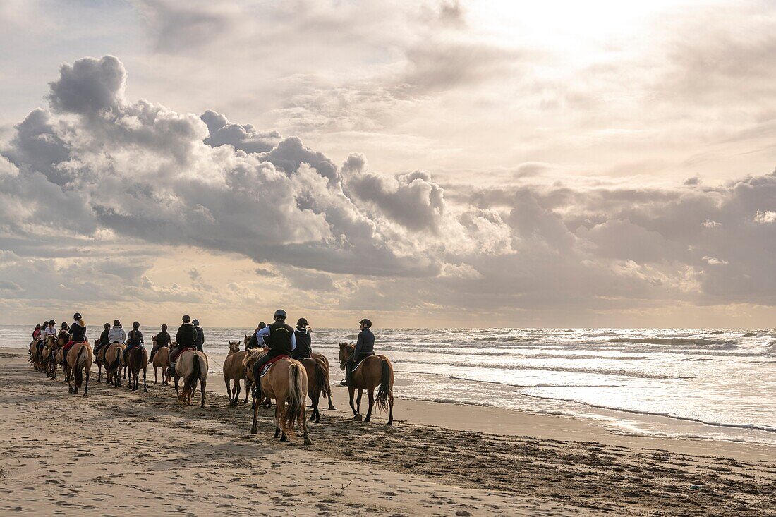 Frankreich, Somme, Quend-Plage, Reitertruppe und ihre Pferde Henson am Strand