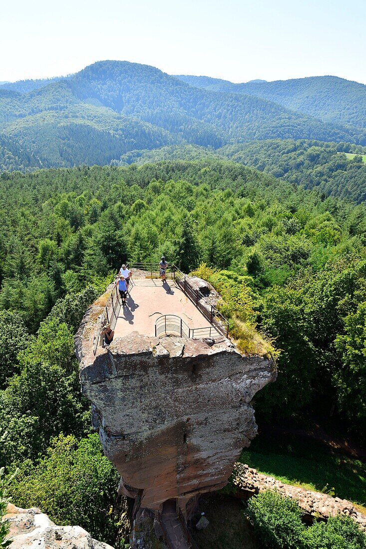 Frankreich, Bas Rhin, Parc Naturel Regional des Vosges du Nord (Regionaler Naturpark Nordvogesen), Lembach, Burgruine Fleckenstein aus dem 12.