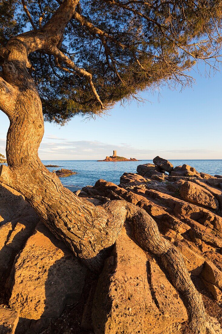 France, Var, Corniche de l'Esterel or corniche d'Or, Saint Raphael, Ile d'Or in front of the Cap du Dramont\n