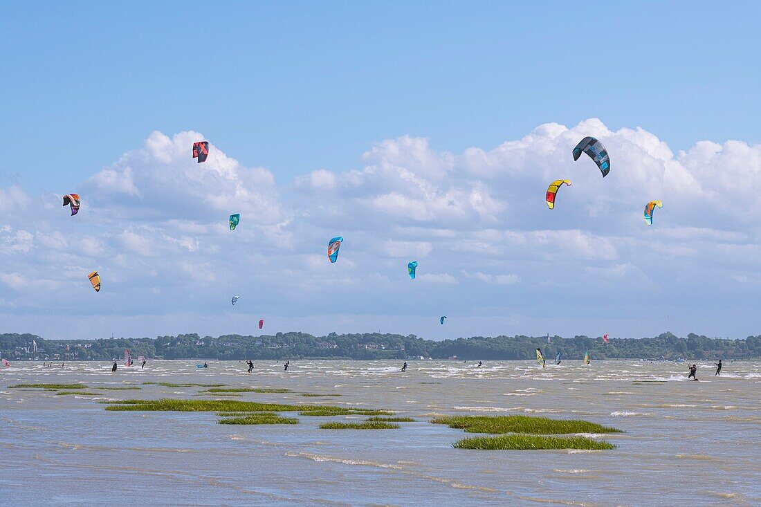"France, Somme, Bay of the Somme, Le Crotoy, Crotoy beach is a spot for kitesurfing and windsurfing; in the aftermath of a storm, while the sun has returned with a powerful wind, the athletes are numerous and their multicolored sails brighten up the landscape"\n