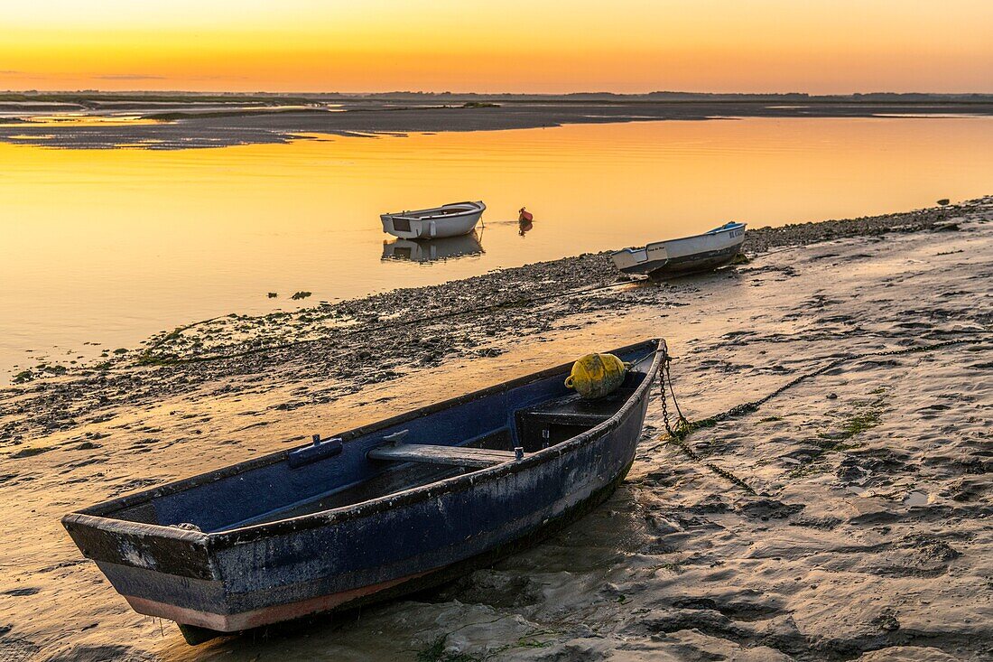 Frankreich, Somme, Somme-Bucht, Saint Valery sur Somme, Boot bei Sonnenaufgang am Ufer der Somme