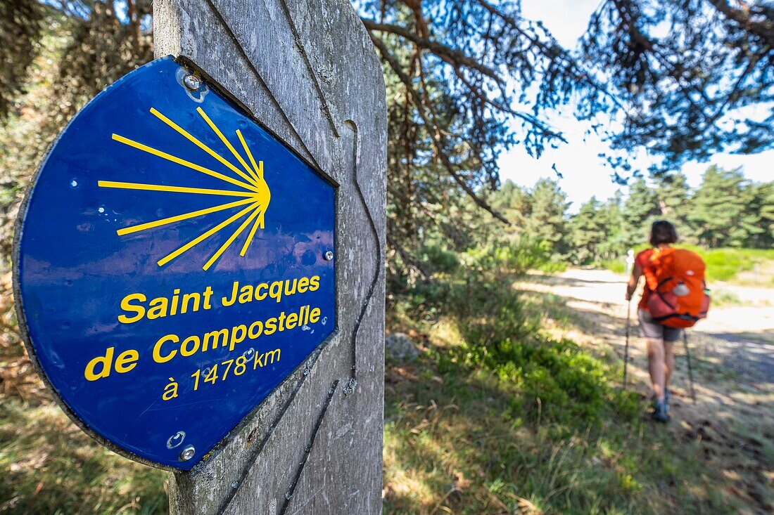 France, Lozere, surroundings of Lajo, hike along the Via Podiensis, one of the French pilgrim routes to Santiago de Compostela or GR 65\n