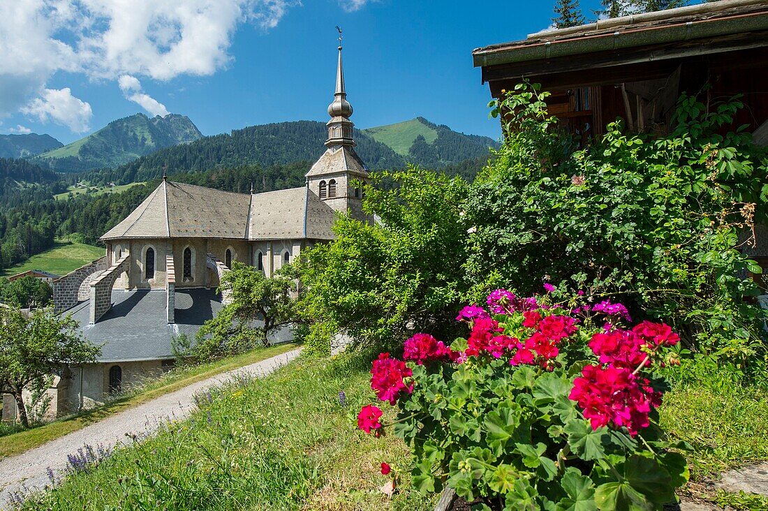 Frankreich, Haute Savoie, Chablais-Massiv, Abondance-Tal, Abondance, Gesamtansicht des Dorfes und des Gipfels des Corne