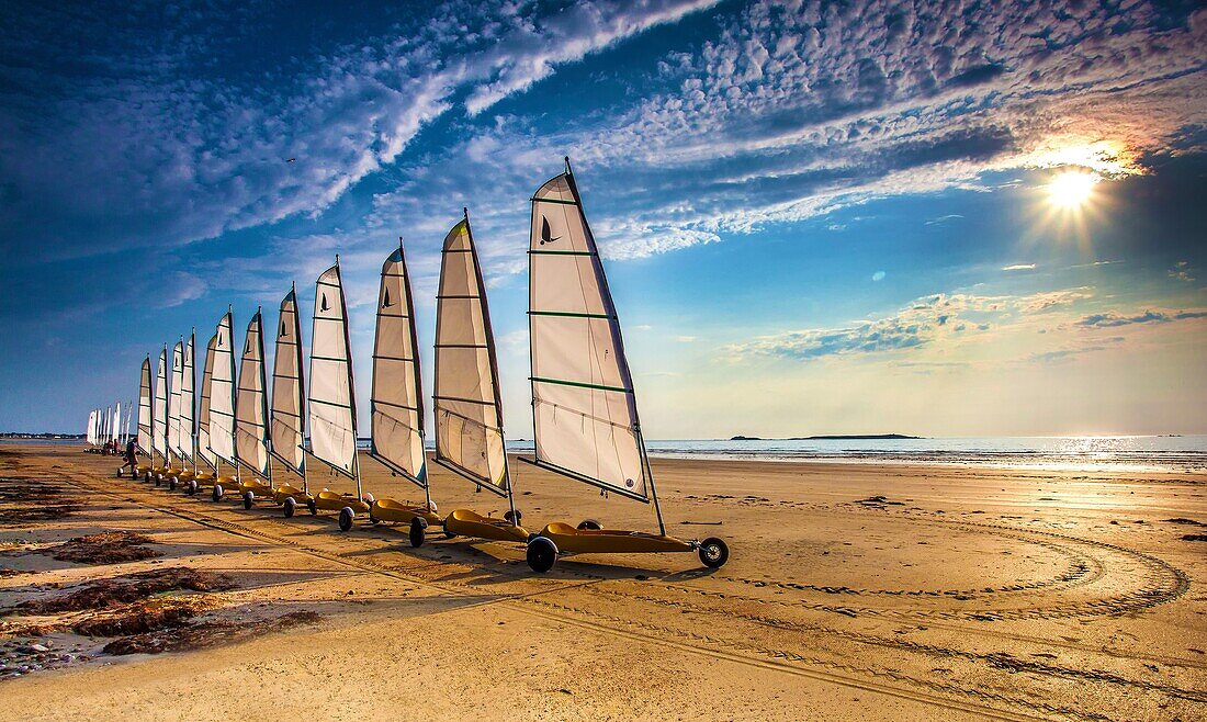 France, Morbihan, Saint Pierre Quiberon, alignment of sand yachts at sunset\n