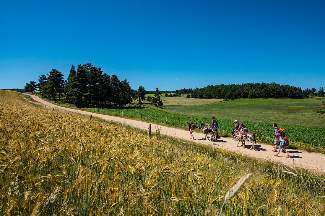 France, Lozere, Langogne, Stevenson trail, GR 70\n