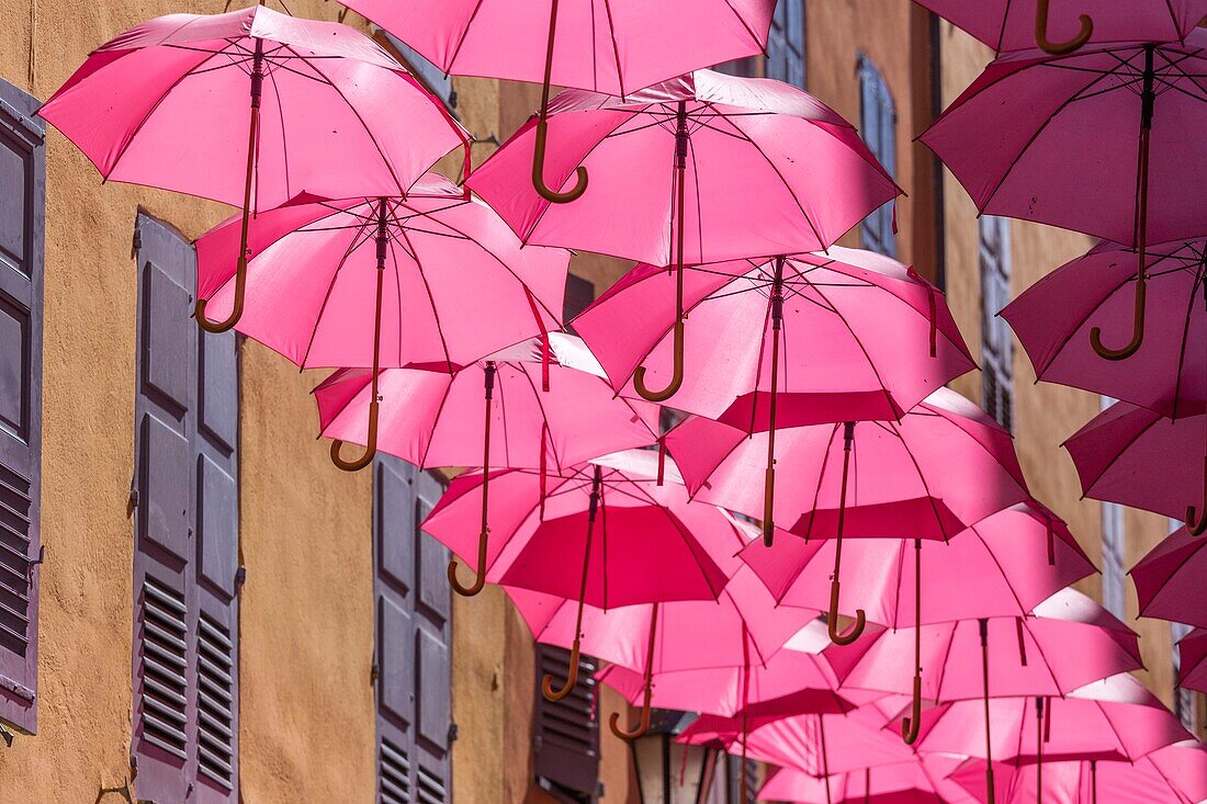 France, Alpes-Maritimes, Grasse, historic center, pink umbrellas in Jean Ossola street\n