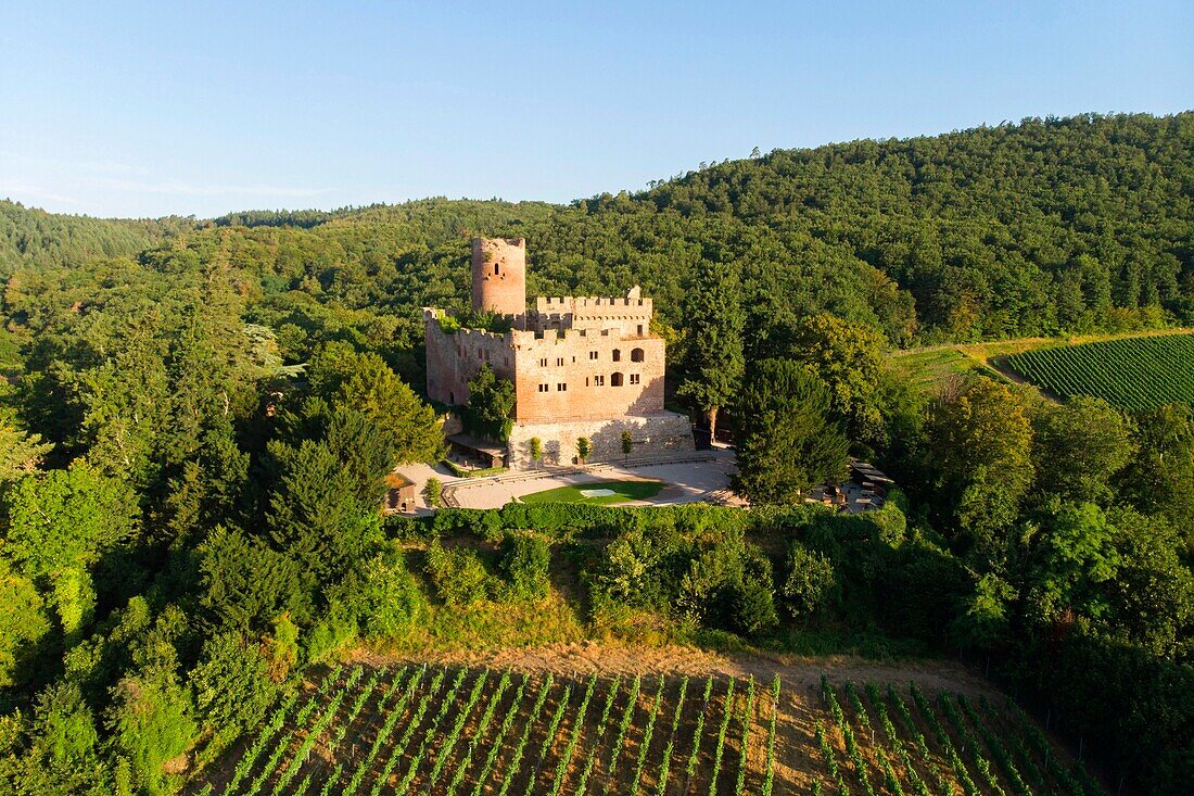 France, Bas Rhin, Alsace Wine Road, Kintzheim Castle (aerial view)\n