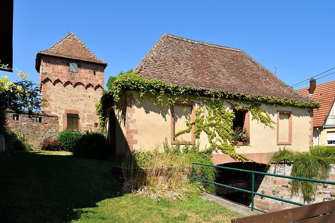 France, Bas Rhin, Outre Foret (Northern Alsace), Wissembourg, district of the Bruch, banks of the Lauter River, the city walls, Hausgenossen tower and lock, 15th century\n