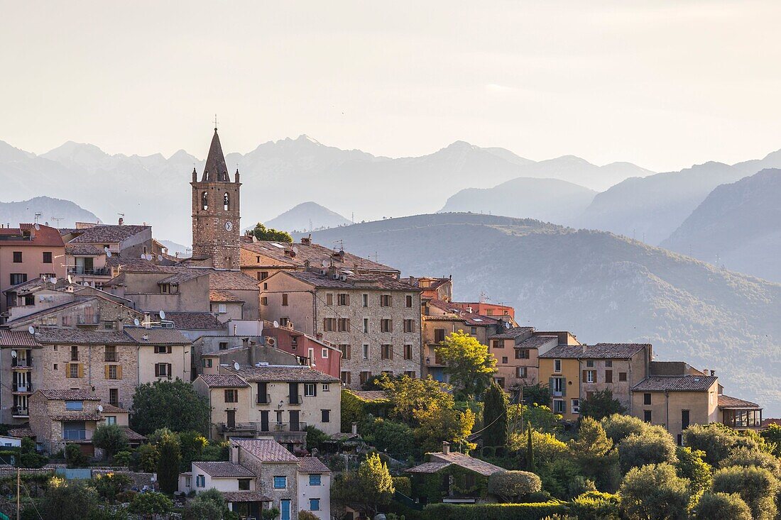 France, Alpes Maritimes, Parc Naturel Regional des Prealpes d'Azur, Le Broc, Mercantour peaks in the background\n