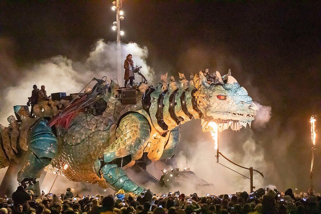 France, Pas de Calais, Cote d'Opale, Calais, Calais dragon designed by François Delarozière and la Machine company, festivities related to the arrival of the dragon in Calais\n