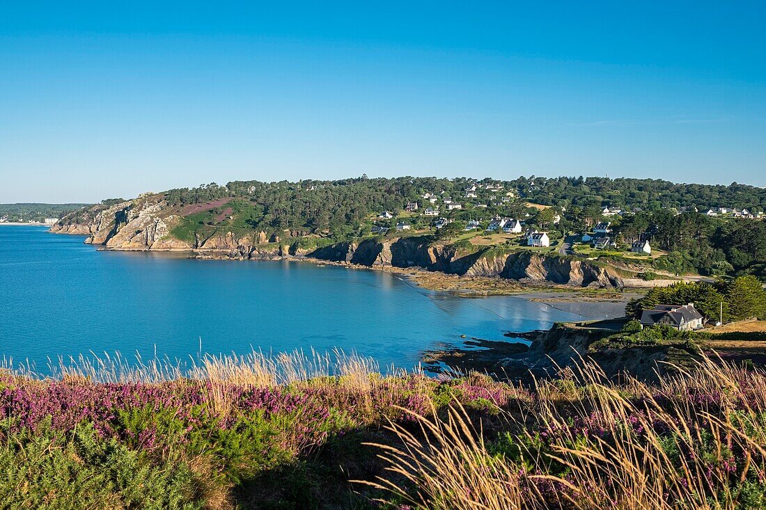 France, Finistere, Armorica Regional Natural Park, Crozon Peninsula, Postolonnec\n