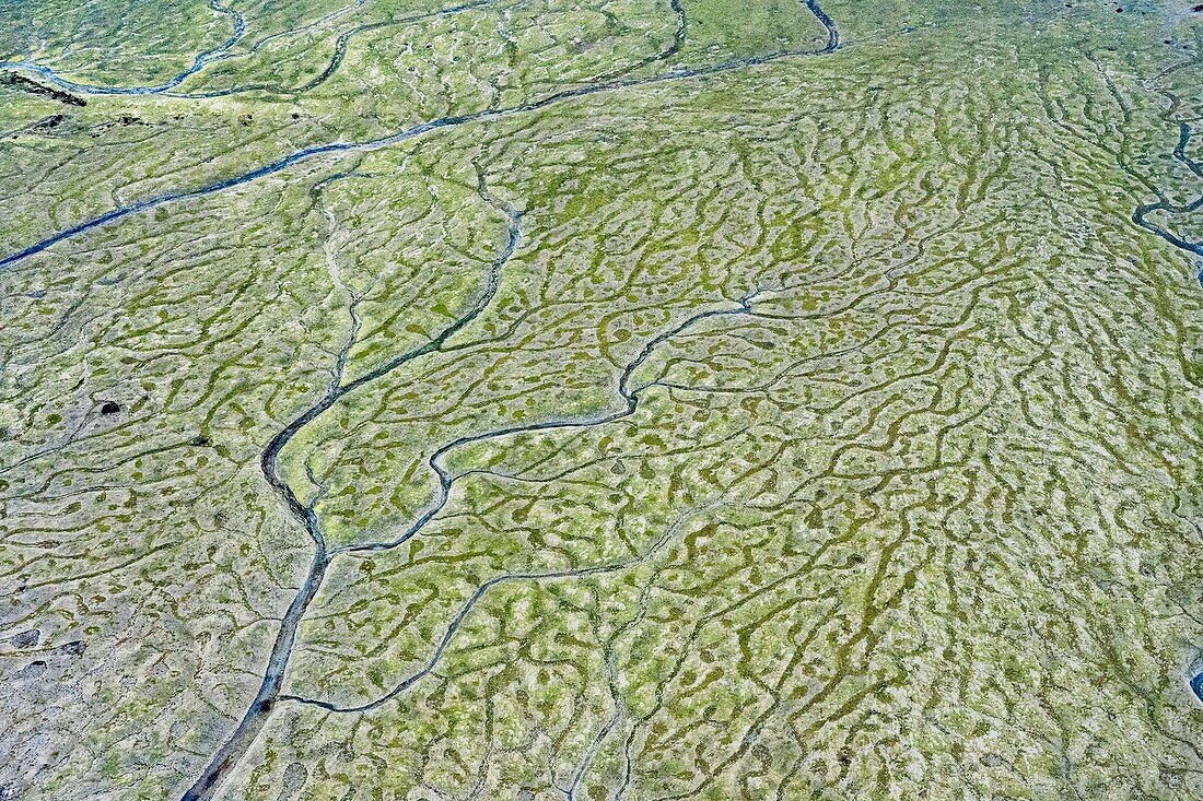 France, Manche, Saint Vaast la Hougue, channels in the vase (aerial view)\n