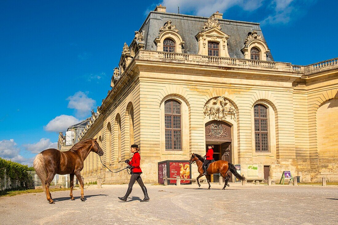 France, Oise, Chantilly, Chateau de Chantilly, the Grandes Ecuries (Great Stables), in front of the entrance Clara makes up his horse\n