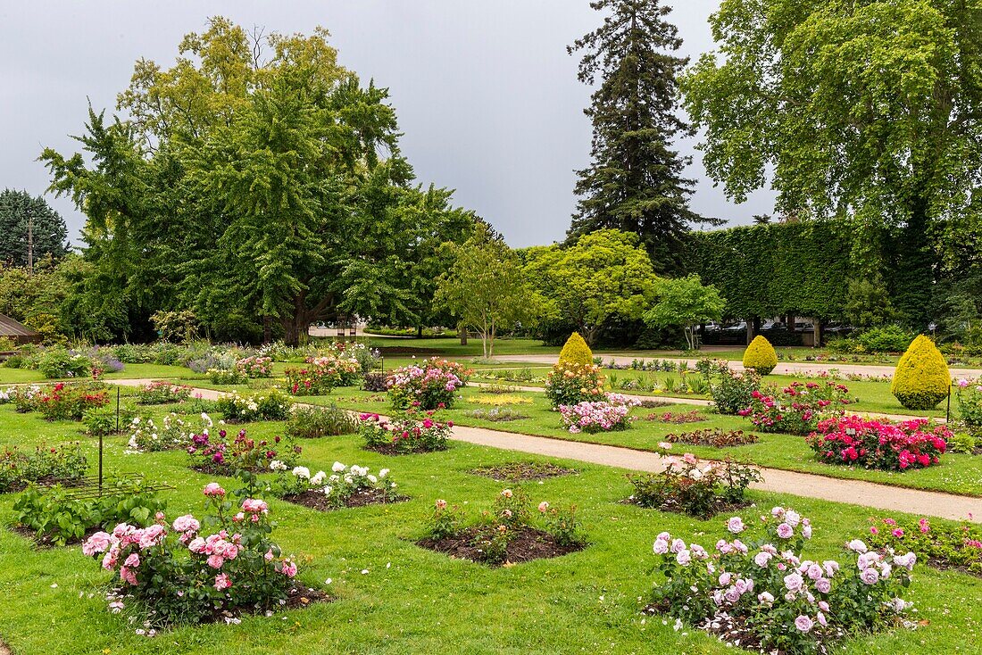 Frankreich, Loiret, Orleans, Jardin des Plantes, Rosengarten