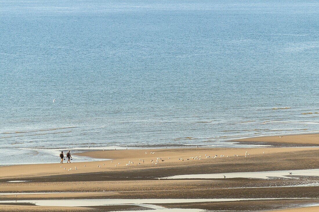 France, Somme, Fort-Mahon, Couple walking on the beach seen from the heights of the dunes near Authie Bay\n