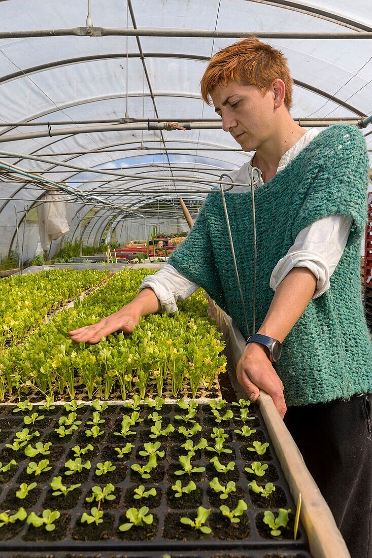 Frankreich, Indre et Loire, das Loire-Tal, das von der UNESCO zum Weltkulturerbe erklärt wurde, Fondettes, La petite fève, Bioproduzent, Porträt von Clara Dupré im Gewächshaus