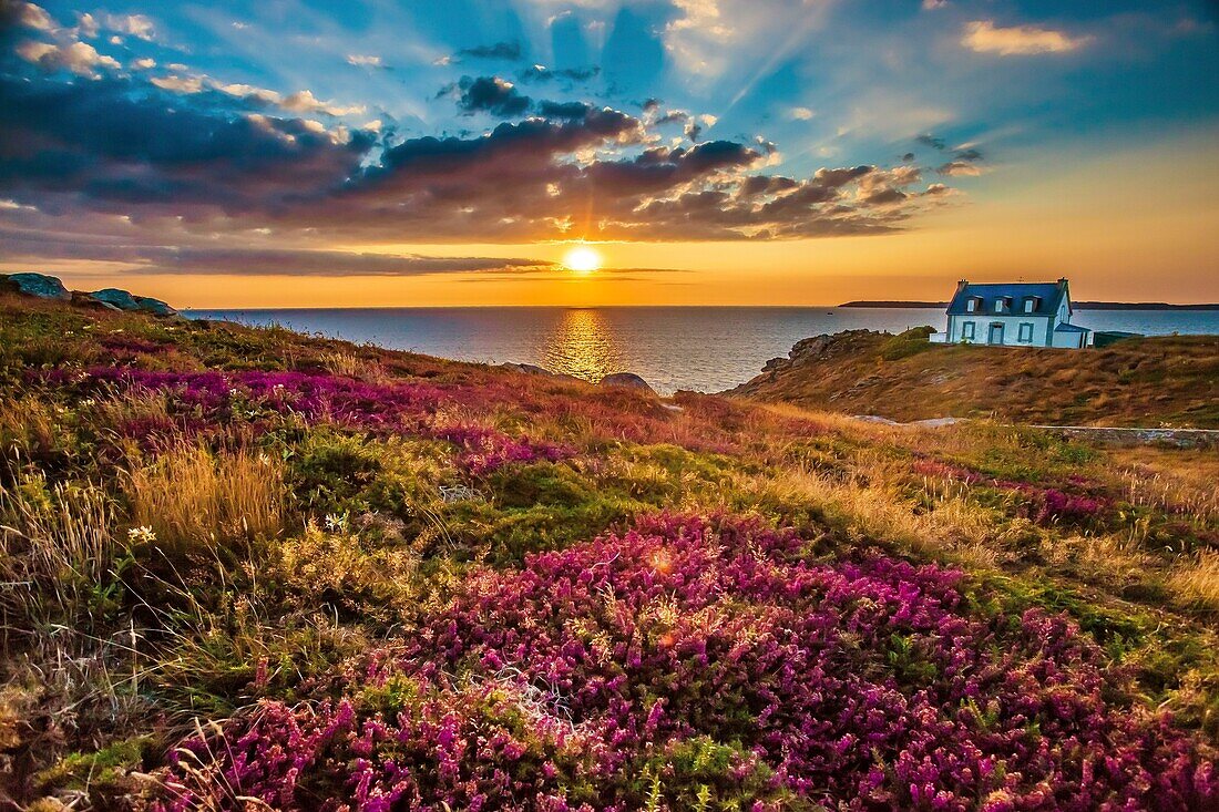 France, Finistere, Cap Sizun, Beuzec Cap Sizun, Pointe du Millier, Millier lighthouse at sunset\n