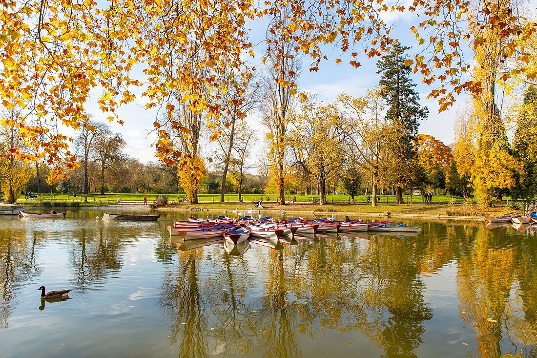 Frankreich, Paris, der Bois de Vincennes, der See Daumesnil im Herbst