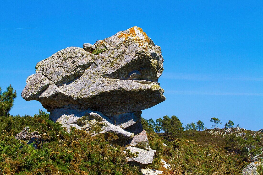 France, Finistere, Presqu'i?le de Crozon, rock on the trail from Virgin Island to Saint Hernot\n