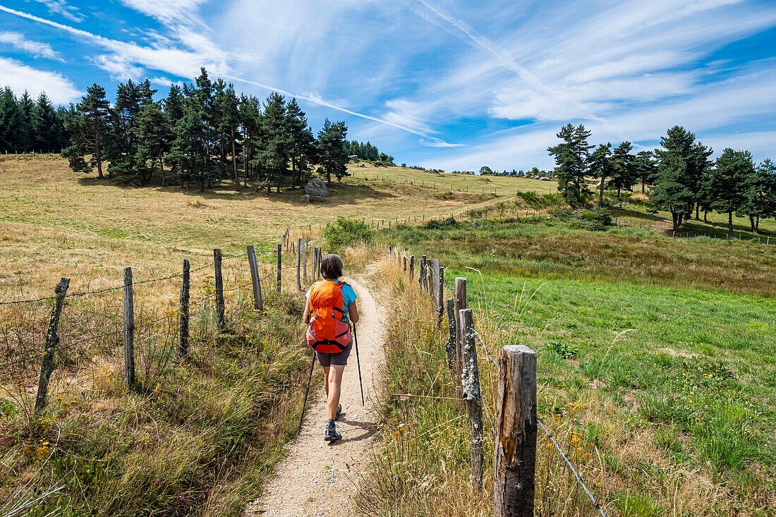 Frankreich, Haute-Loire, Umgebung von Saugues, Wanderung auf der Via Podiensis, einer der französischen Pilgerwege nach Santiago de Compostela oder GR 65