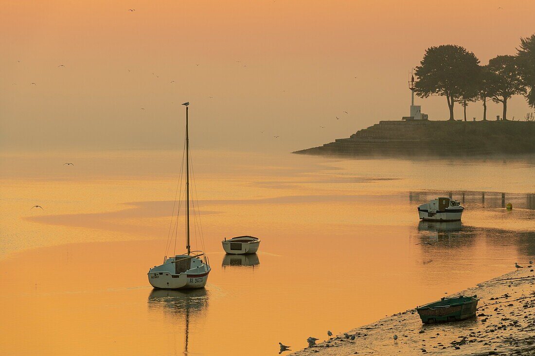 France, Somme, Somme Bay, Saint Valery sur Somme, Dawn on the banks of the Somme where are stranded the boats of fishermen and hunters\n