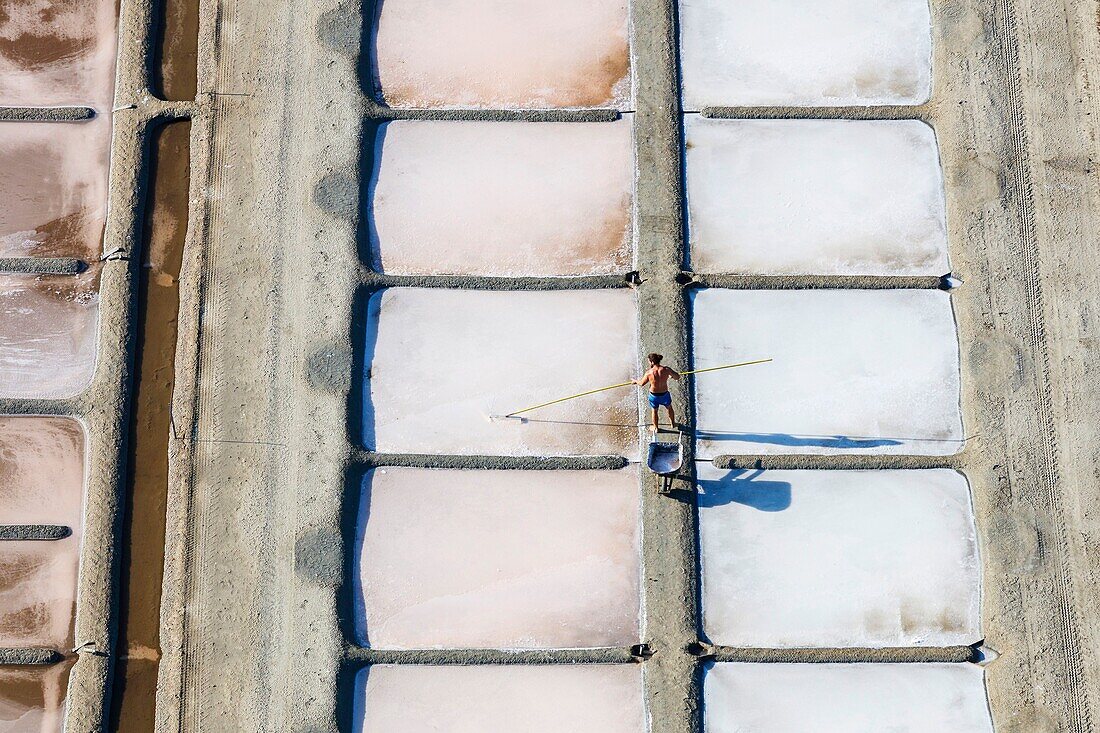 France, Charente Maritime, Ile de Re, Ars en Re, salt worker collecting the salt flower in the salt marshes (aerial view)\n