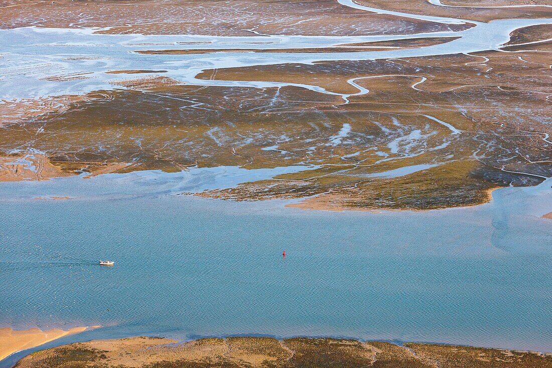 France, Charente Maritime, Ile de Re, Ars en Re, boat in the Fier d'Ars at low tide (aerial view)\n