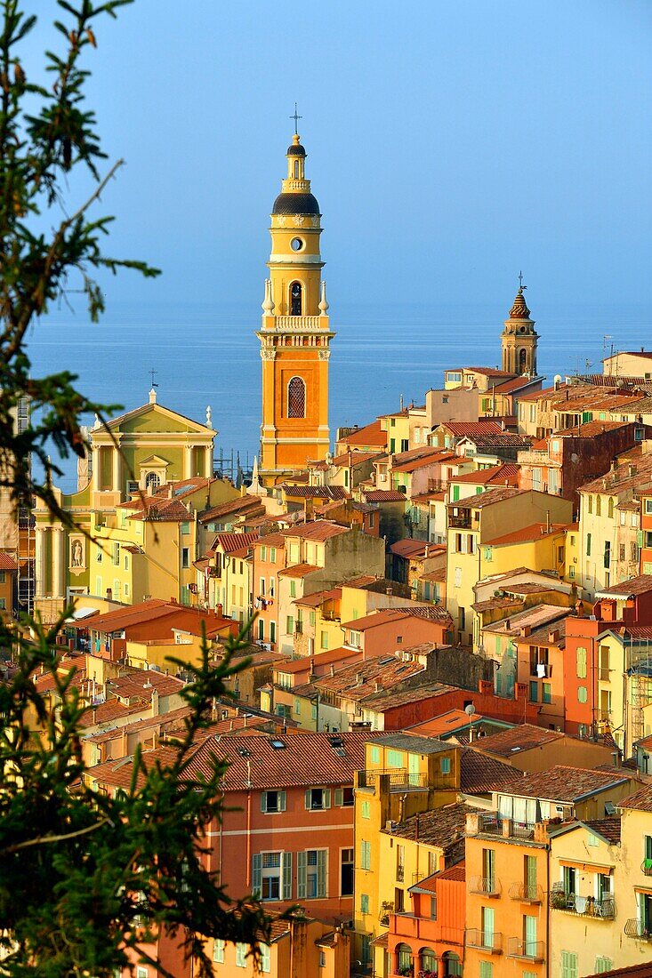 France, Alpes Maritimes, Menton, the old town dominated by the Saint Michel Archange basilica\n