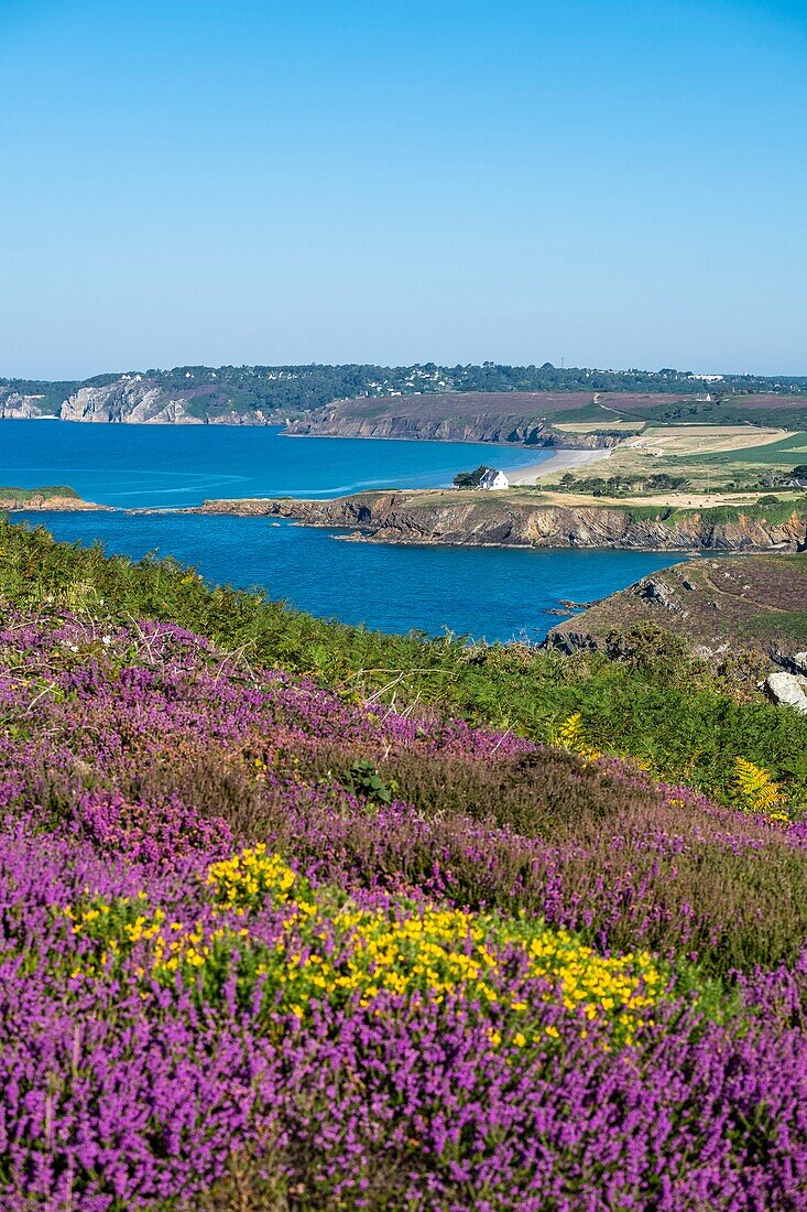 France, Finistere, Armorica Regional Natural Park, Crozon Peninsula, panorama from Pointe de Treboul or Pointe du Guern\n