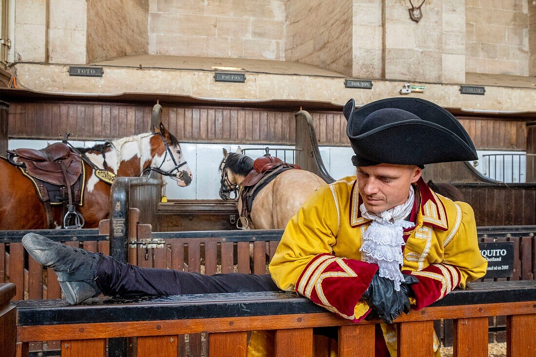 Frankreich, Oise, Chantilly, Schloss Chantilly, die Großen Ställe, Ausstellung zum dreihundertjährigen Bestehen der Großen Ställe: Es war einmal... die Großen Ställe, der Außenstürmer Clément Ferron macht sich warm