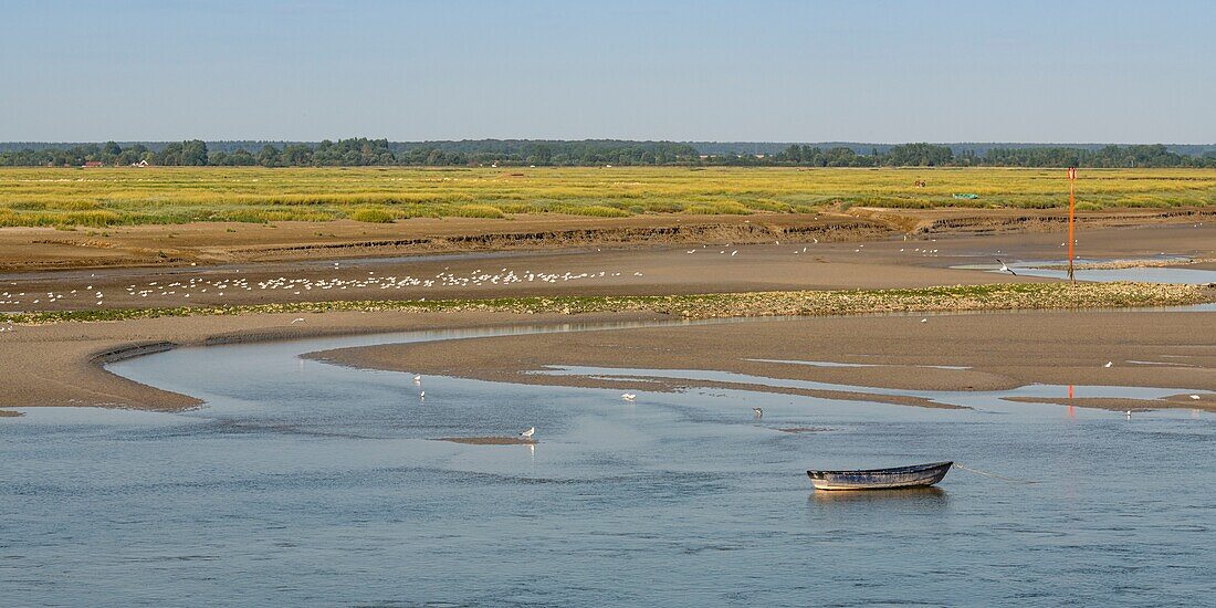 France, Somme, Somme Bay, Saint Valery sur Somme, The salted meadows facing the quays, a boat awaits the return of hunters for the crossing of the channel\n