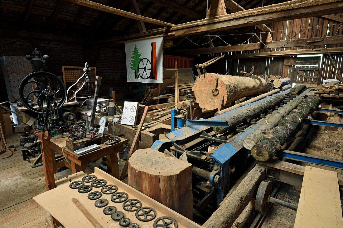 Frankreich, Haut Rhin, Sainte Croix aux Mines, Sägewerk des Museums Vincent