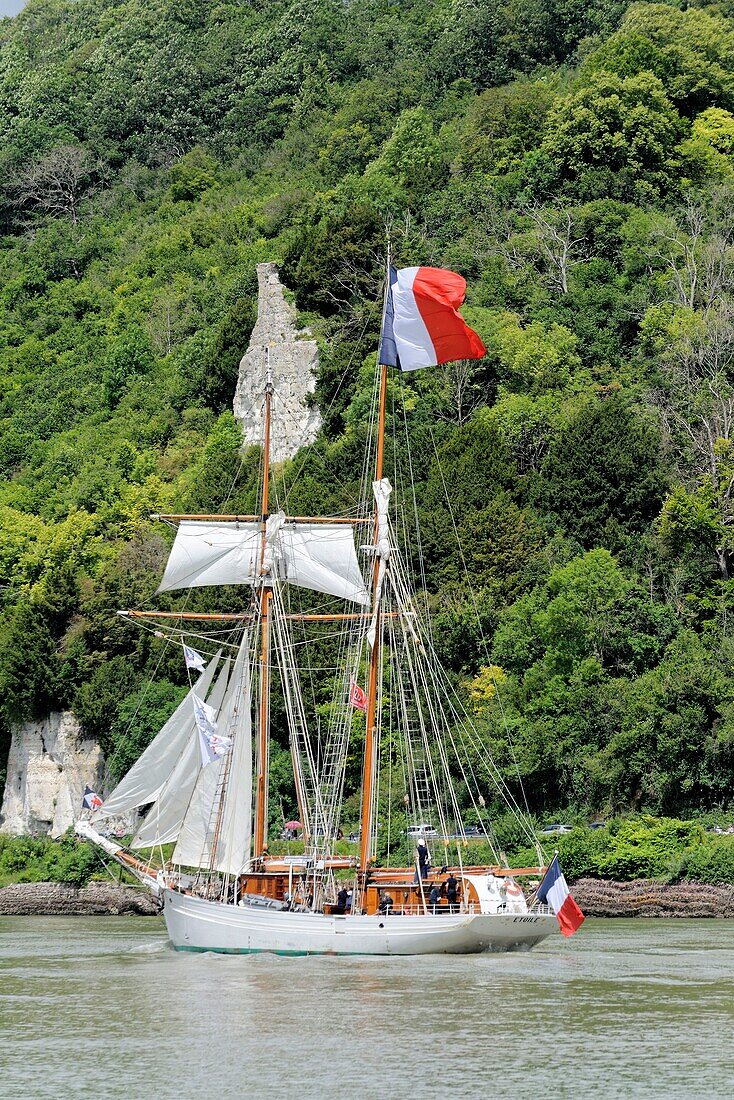 France, Seine Maritime (76), Rouen, Armada 2019, the Etoile sur de la Seine is the twin sister of the Belle Poule. Based in Brest this ship becomes a sailing school. This sailboat contributes to the training of officer cadets\n