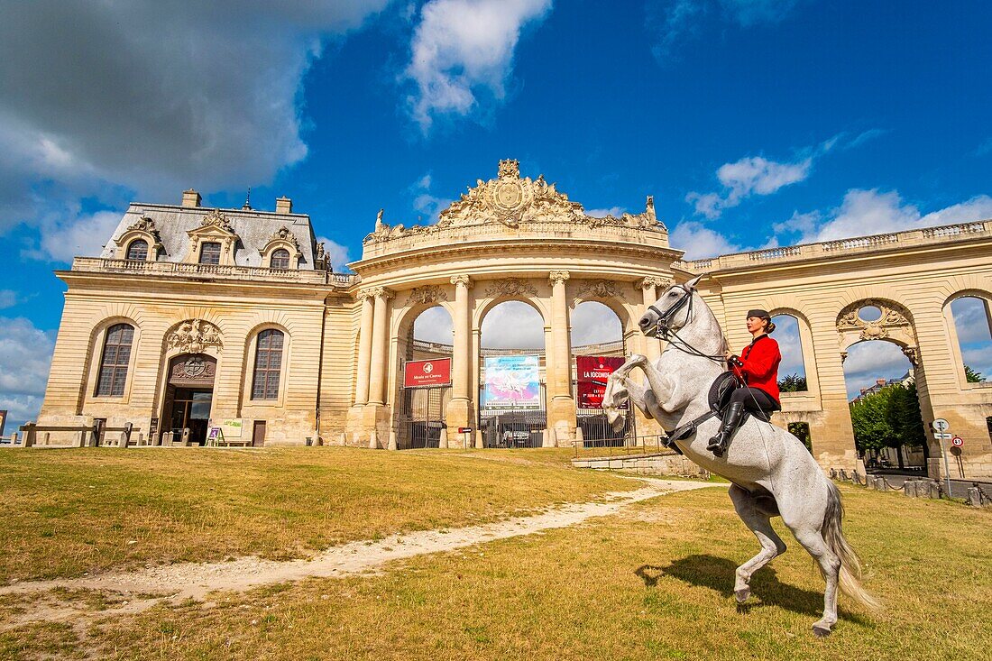 France, Oise, Chantilly, the castle of Chantilly, the Grandes Ecuries, Estelle, rider of the Grandes Ecuries, makes rear her horse in front of the Grandes Ecuries\n