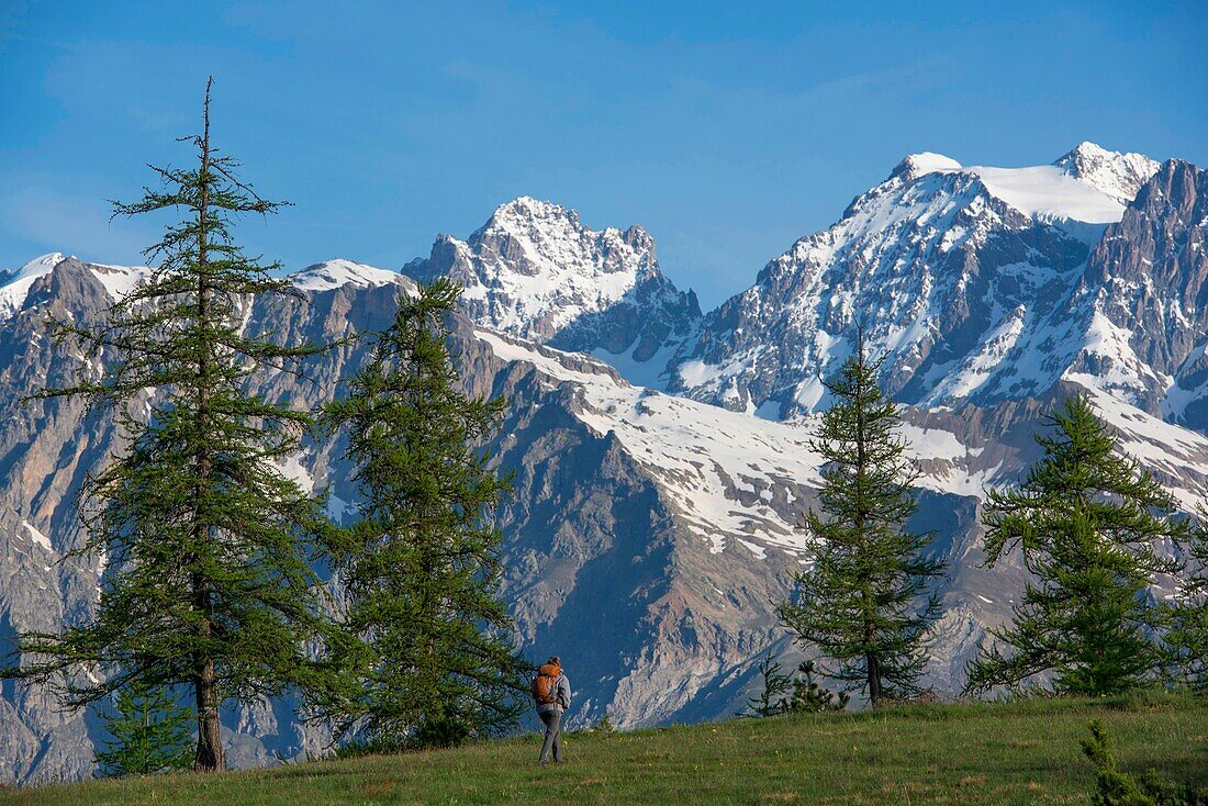 Frankreich, Hautes Alpes, Oisans-Massiv, Ecrins-Nationalpark, Vallouise, Wanderung zur Pointe des Têtes, Pousterle-Passplateau und Gipfel des Sans Nom und Pelvoux