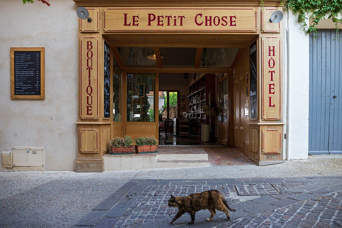 France, Vaucluse, Venasque, labeled the Most Beautiful Villages of France, entrance to the hotel Le Petit Chose\n