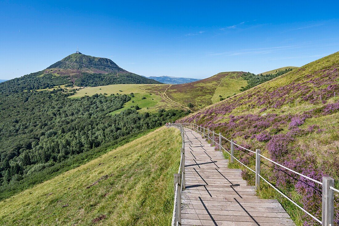 France, Auvergne, Puy de Dome, Regional Natural Park of Auvergne Volcanoes, Chaine des Puys, Orcines, wooden steps for access to the top of the volcanic cone of the Puy Pariou, the Puy de Dome in the background\n