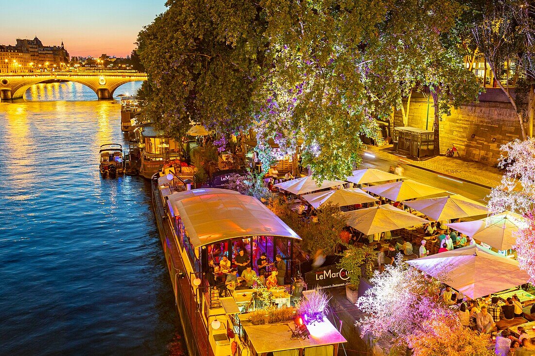 Frankreich, Paris, Weltkulturerbe der UNESCO, Park von Rives de Seine, die Barkasse Marcounet