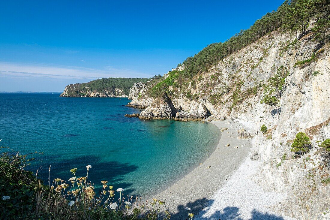 France, Finistere, Armorica Regional Natural Park, Crozon Peninsula, Saint Hernot, creek of Vierge island\n