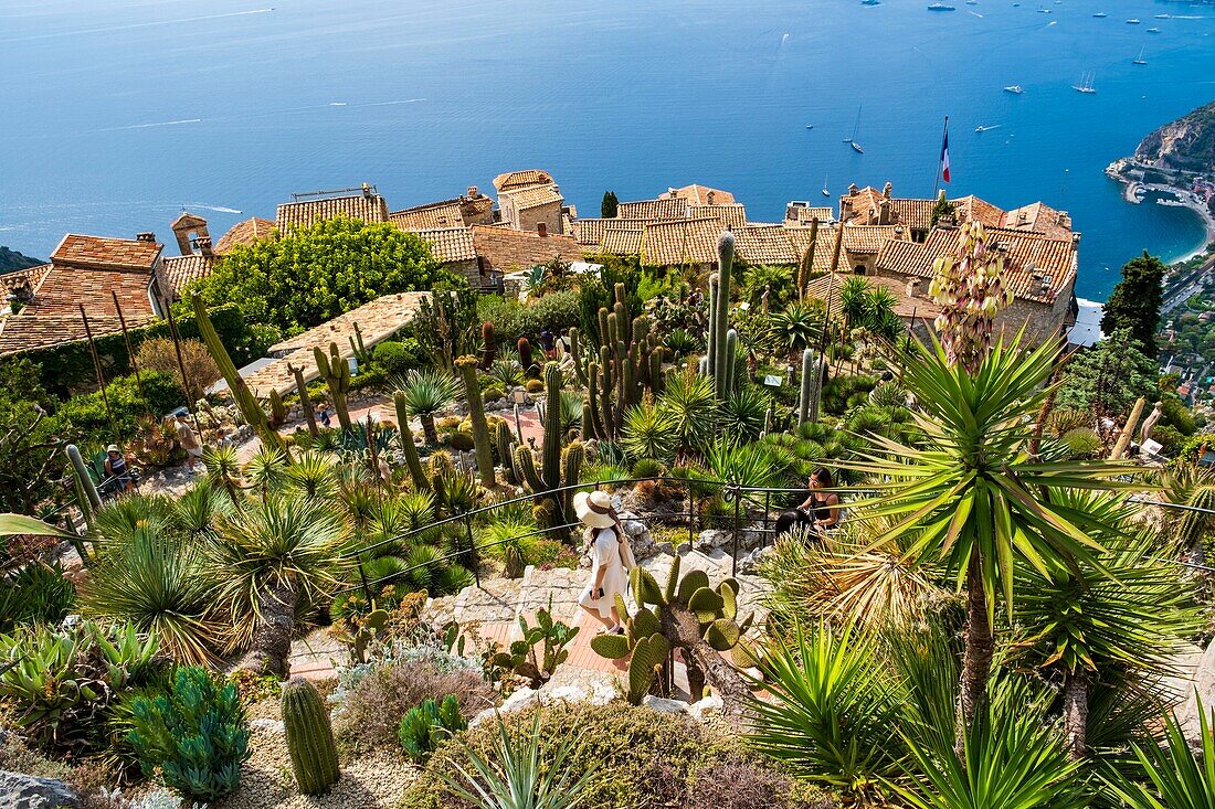 France, Alpes Maritimes, the hilltop village of Eze and its Exotic Garden\n