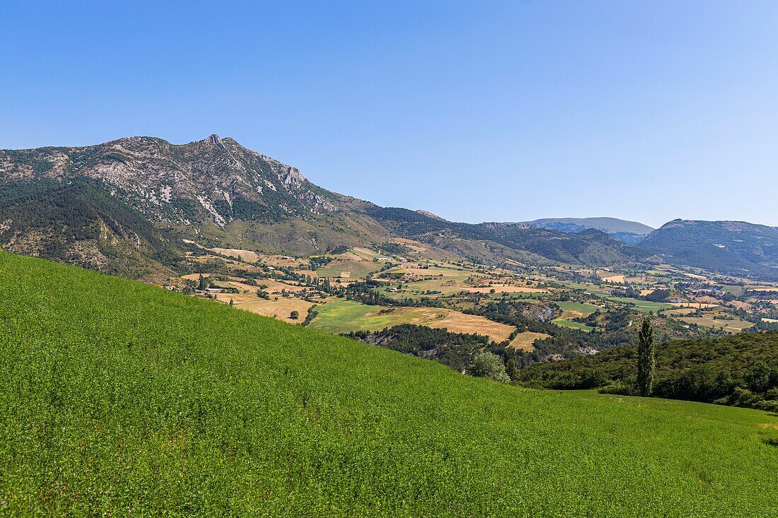 France, Hautes-Alpes, Regional Natural Park of the Baronnies Provençale, Saint-André-de-Rosans, Col Palluel on the D425\n