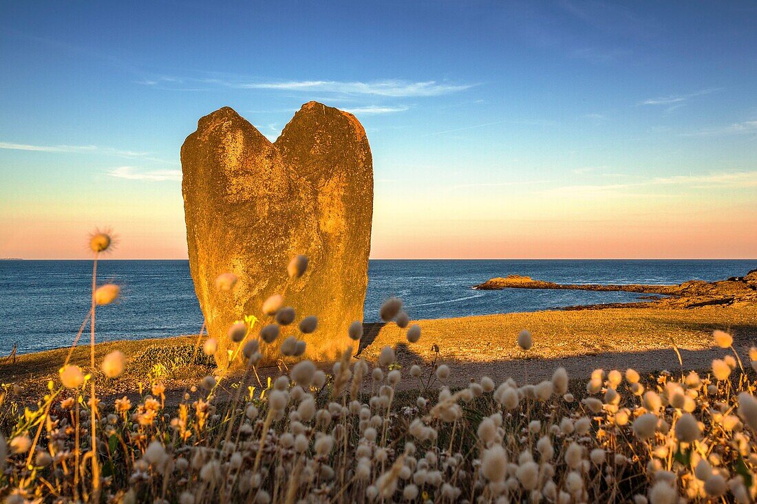 France, Morbihan, Pointe de Beg er Goalennec, heart shaped Menhir, village of Manémeur\n