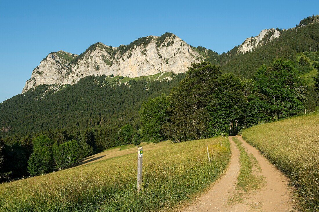 Frankreich, Haute Savoie, Massiv des Geoparks Chablais, Thollon les Memises, die Felsen des Gipfels von Memises von den Weiden des Mont Benand aus gesehen