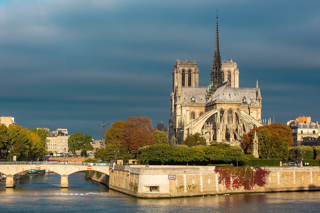 France, Paris, area listed as World Heritage by UNESCO, Ile de la Cite, Notre Dame de Paris Cathedral\n