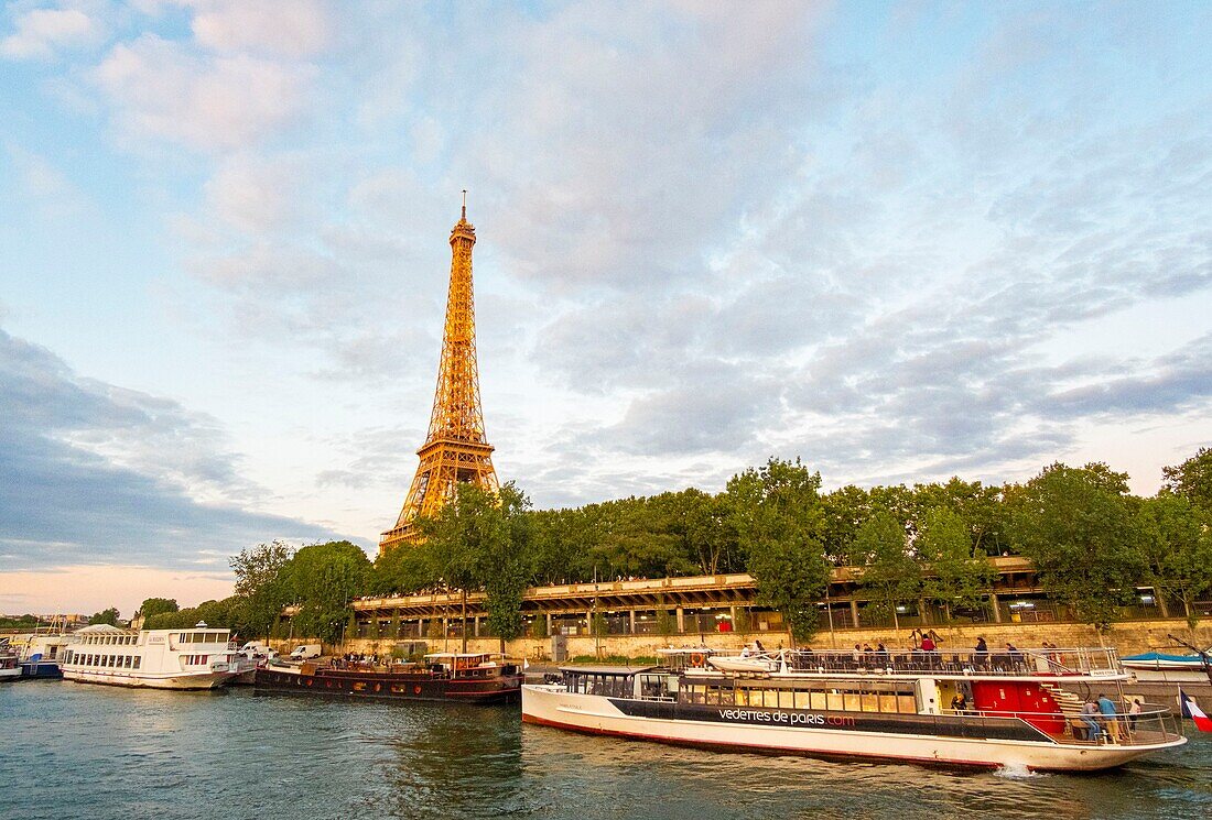 France, Paris, area listed as World Heritage by UNESCO, boat cruise in front of the Eiffel Tower\n