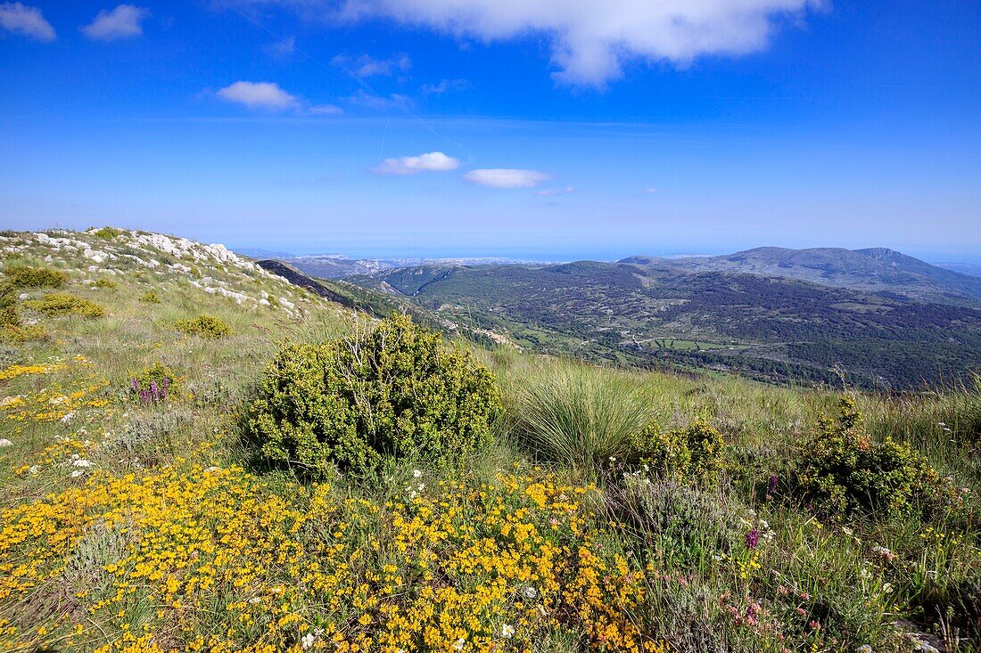 Frankreich, Alpes Maritimes, Parc Naturel Regional des Prealpes d'Azur, Coursegoules, Berg Cheiron, das Dorf Coursegoules und die Küste der Côte d'Azur im Hintergrund